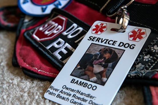 South African Depression And Anxiety Group